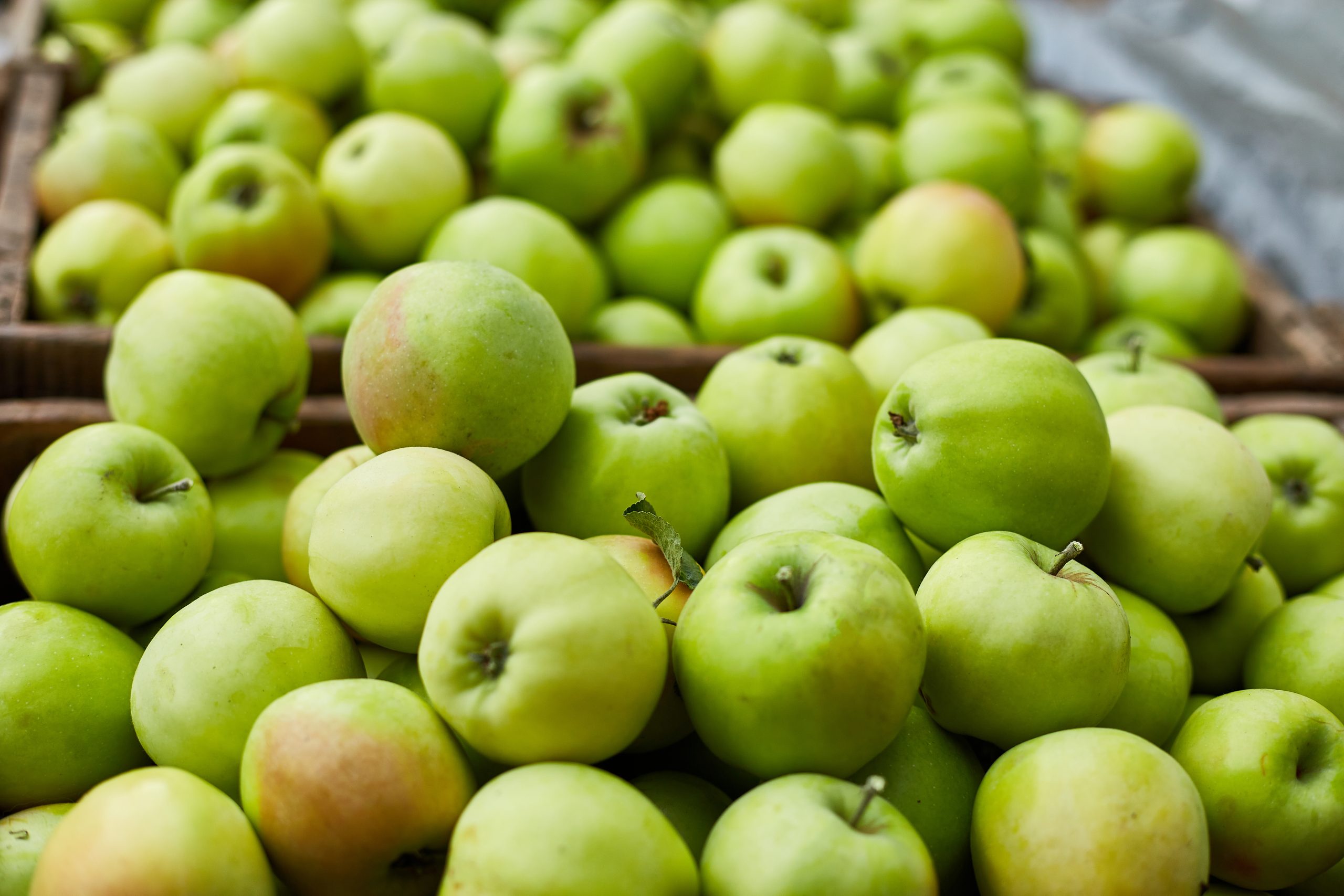 Kashmiri Apples